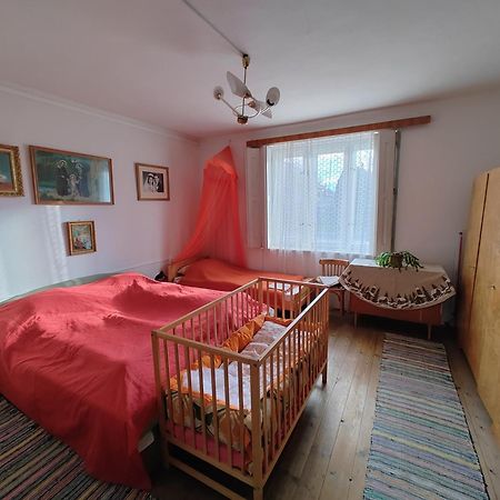 Vinyl House Guest House Strekov Luaran gambar