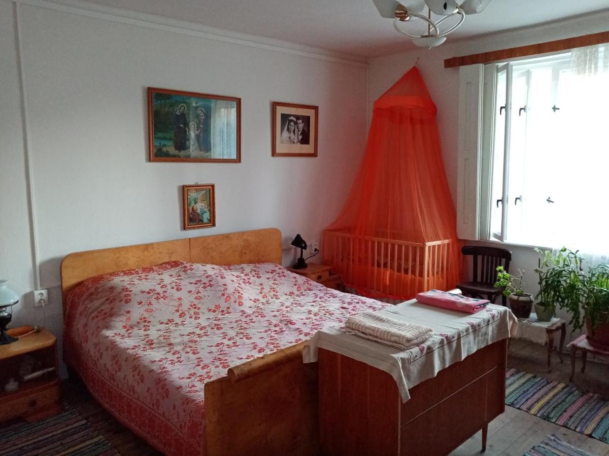 Vinyl House Guest House Strekov Luaran gambar